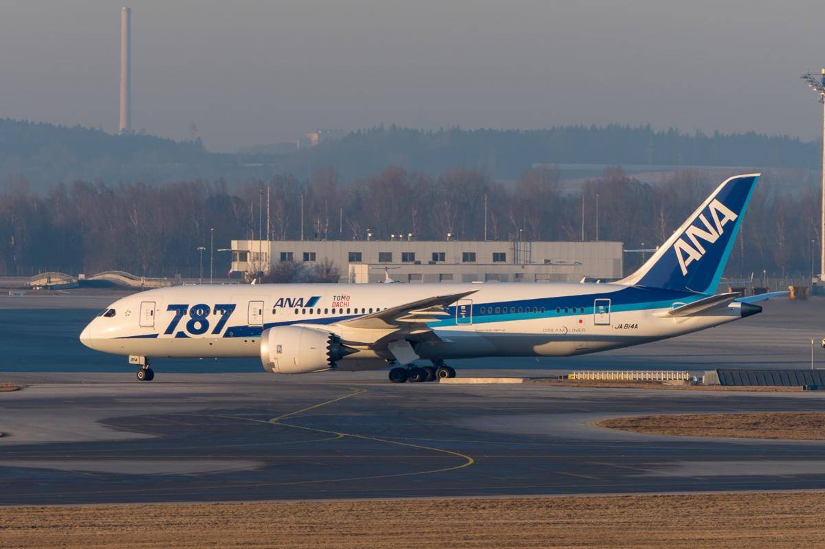 pesawat Boeing 787-8 milik All Nippon Airways. (Julian Herzog, CC BY 4.0 <https://creativecommons.org/licenses/by/4.0>, via Wikimedia Commons)